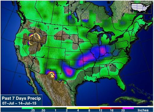 Chuvas acumuladas nos últimos 7 dias nos EUA - Fonte: AGWeb