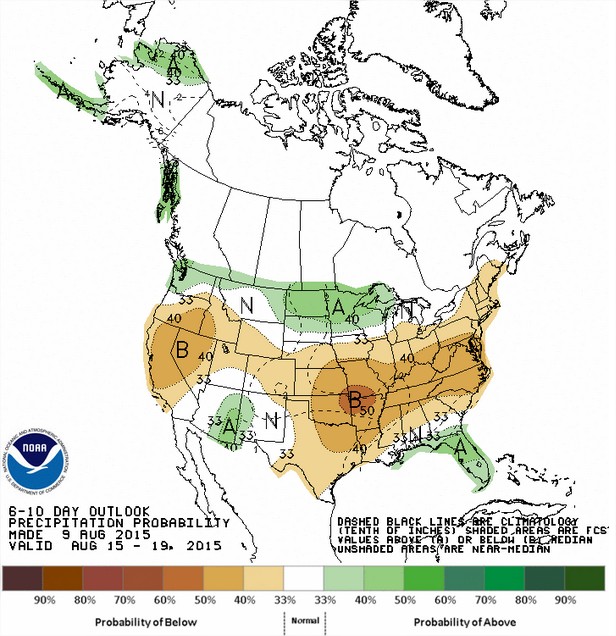 Previsão de chuvas entre os dias 15 a 19 de agosto - Fonte: NOAA