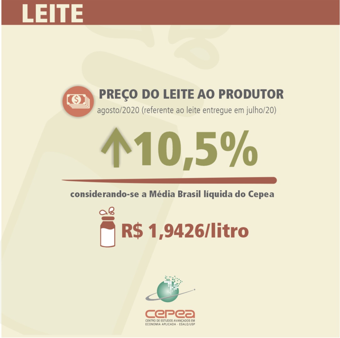 leite cepea agosto