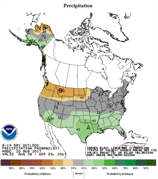Precipitações previstas nos EUA nos próximos 8 a 14 dias - Fonte: NOAA