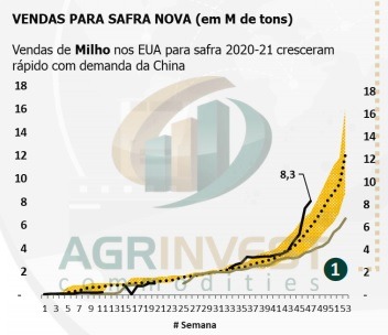 Vendas Milho  2020/21 EUA - Fonte: Agrinvest