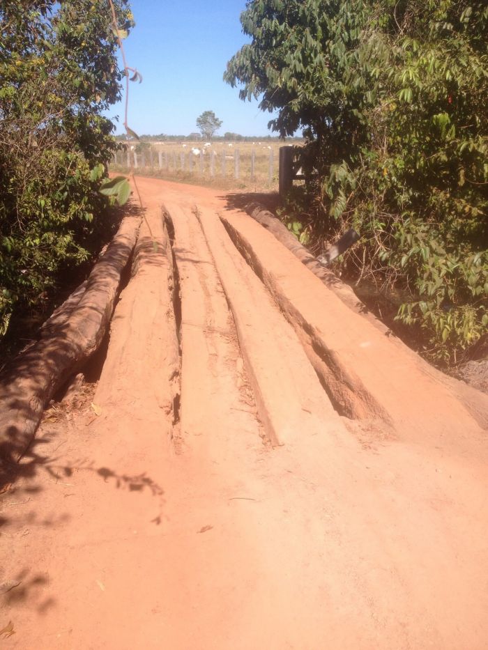 Imagem do dia - Expedição da soja em Matupa (MT). Enviado por Bruno Santos