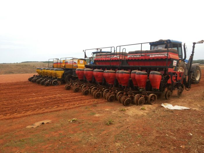 Imagem do dia - Plantio de soja em Goianésia (GO), do produtor Rogerio Sousa Gonçalves