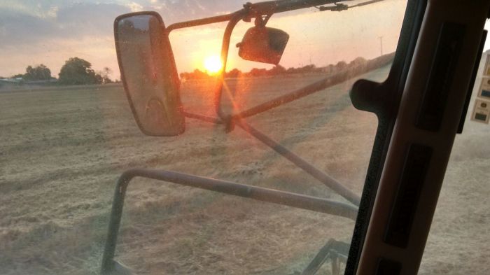 Imagem do dia - Colheita de trigo em Campo Mourão (PR), do produtor Marcelo Paiva