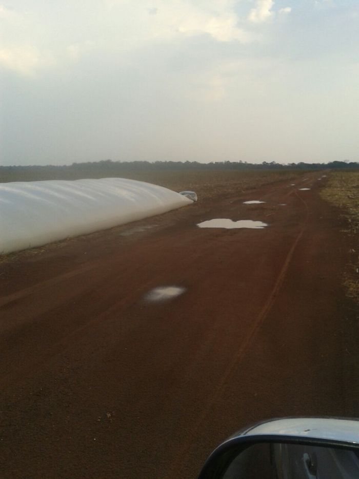 Imagem do dia - Imagem da chuva registrada em Silvanópolis (TO). Envio do produtor rural Dari Fronza