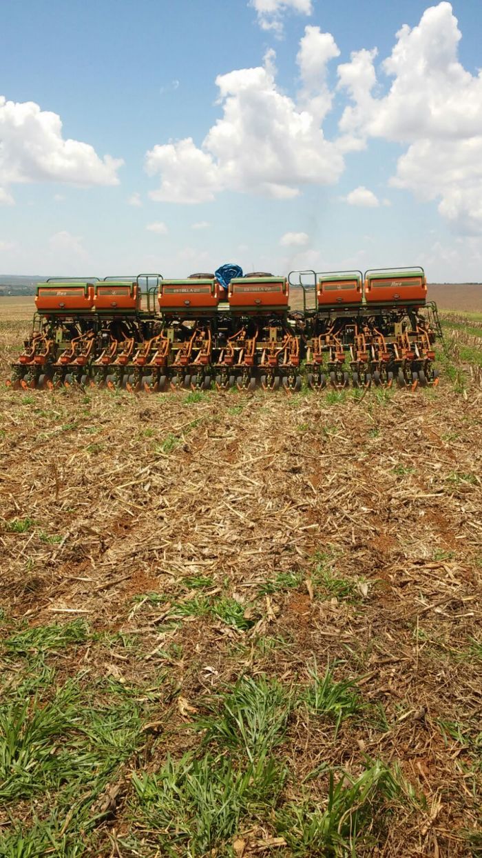 Imagem do dia - Plantio de soja na Fazenda São Francisco em Luziânia (GO), do proprietário Gustavo Fontana