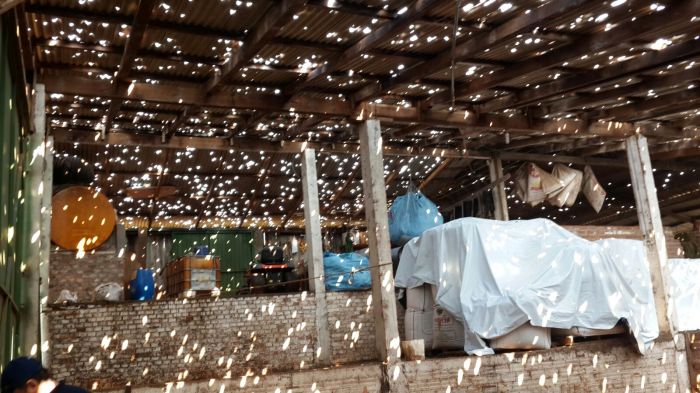 Imagem do dia - Estragos causados pela chuva de granizo em Ipiranga do Sul (RS), na propriedade Volnei Cecconello.  Enviado pelo Engenheiro Agrônomo Mateus Cecconello