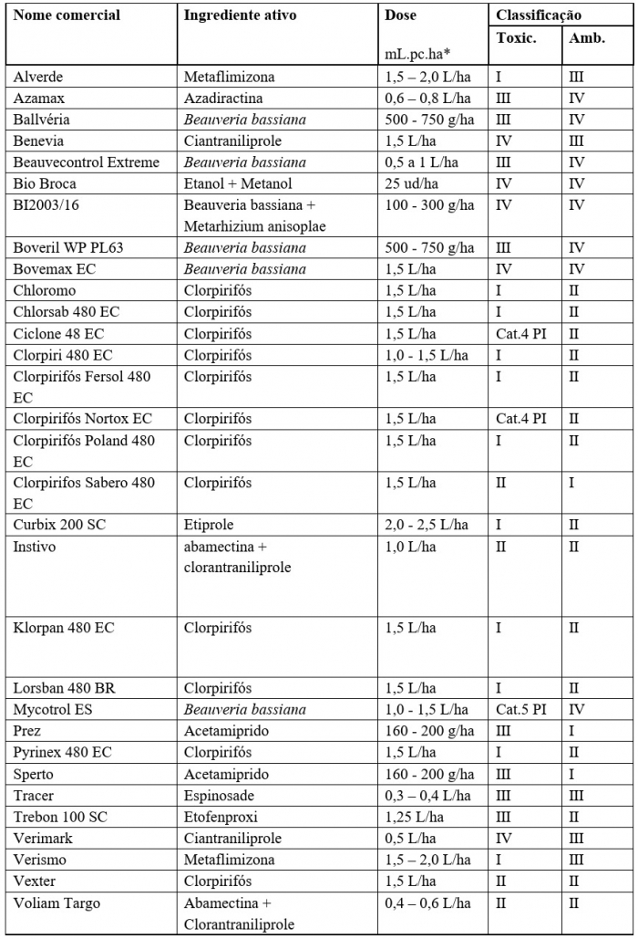 Alternativas para o controle da broca-do-café