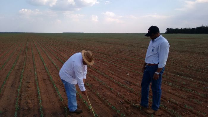 Imagem do dia - Produtor José Adelar aguardando a volta das chuvas para retomada do plantio Querência (MT). Enviado por Milton Júnior