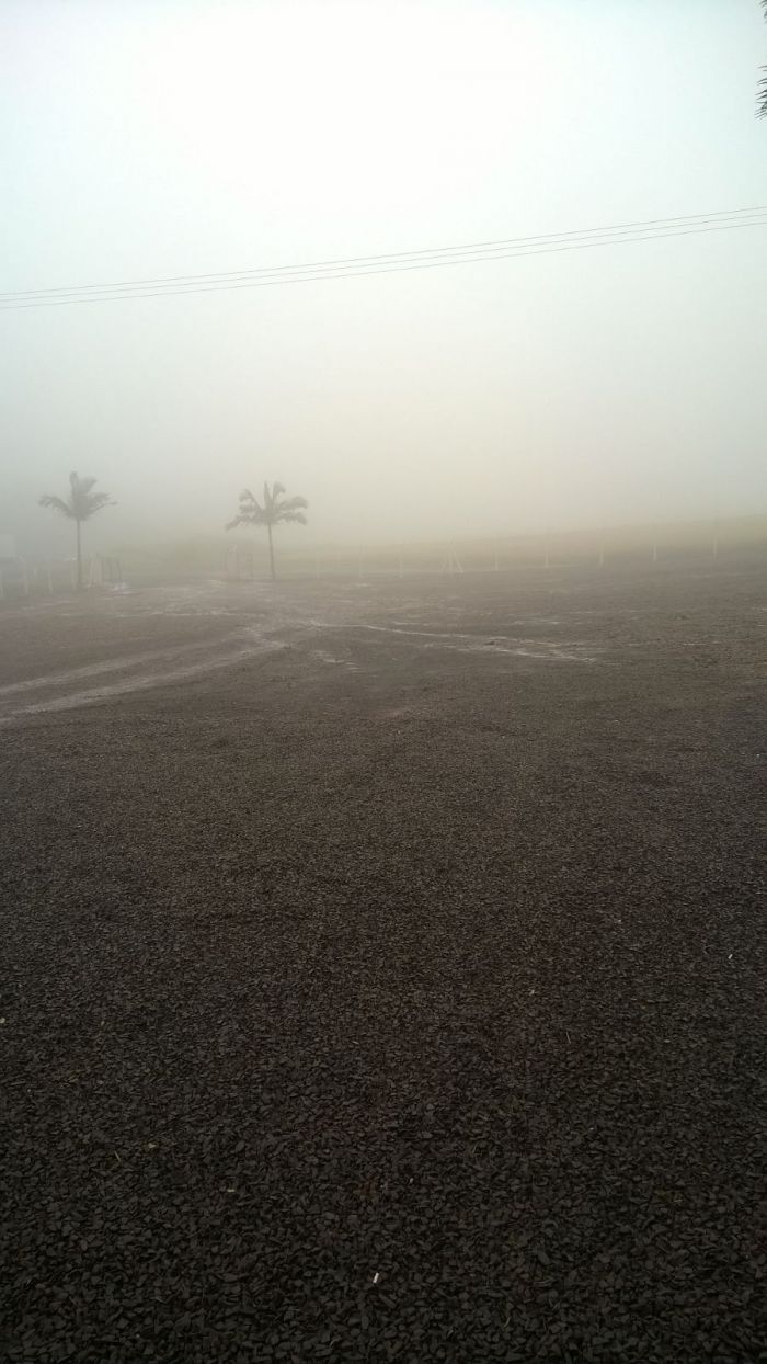 Chuva atrapalha colheita de trigo na região de Céu Azul P.R . Foto enviada por Josimar Fogliarini