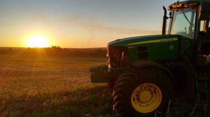 Imagem do dia - Fazenda Santa Irene em Lobato (PR), do produtor Marcos Cardoso