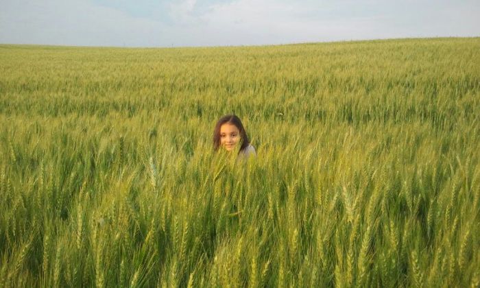 Imagem do dia - Manuella Pelentier Managó na lavoura de trigo em Espigão Alto do Iguaçu (PR)