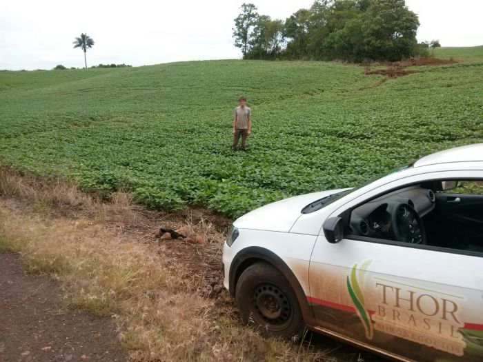 Imagem do dia - Lavoura de soja em São João (PR), do produtor Fernando Harka. Envio pelo Técnico Agrícola Eder Groff