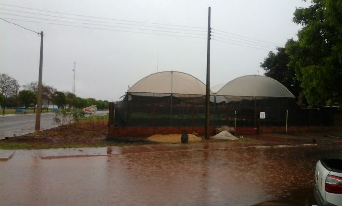 Imagem do dia - Chuva forte em Laguna Carapã (MS), enviado por Antônio Rodrigues Neto