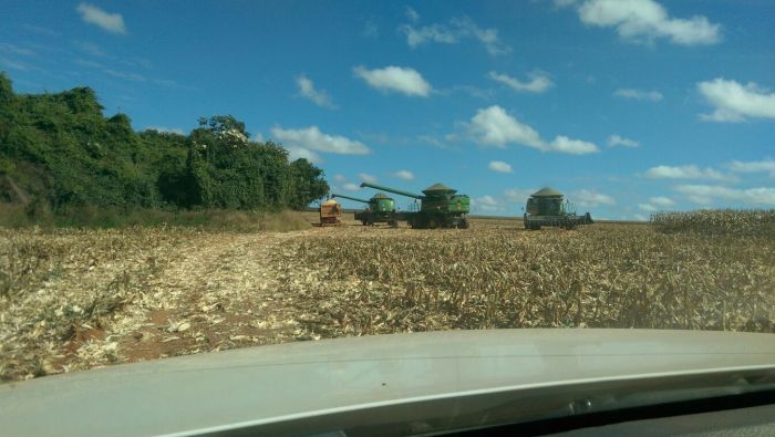 Imagem do dia - Fim da colheita do milho safrinha em Coromandel (MG)