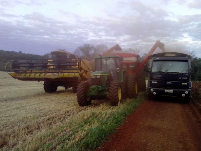 Imagem do dia - Finalizando a colheita de trigo em Mercedes (PR), da Família Franz. Envio de Maik Fernando Franz