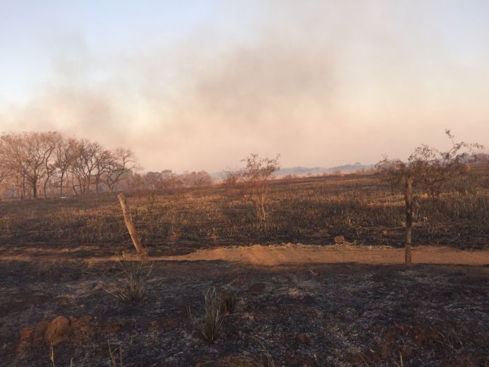 Imagem do dia - Incêndio nos canaviais na região de Porteirão (GO) e Santa Helena de Goiás (GO), na última sexta-feira (11). Enviado por Dario Esteves