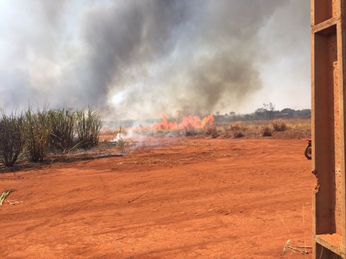 Imagem do dia - Incêndio nos canaviais na região de Porteirão (GO) e Santa Helena de Goiás (GO), na última sexta-feira (11). Enviado por Dario Esteves