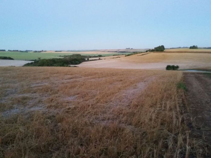 Imagem do dia - Formação de geada em Passo Fundo (RS). Imagem enviada pelo Engenheiro Agrônomo Luciano Remor