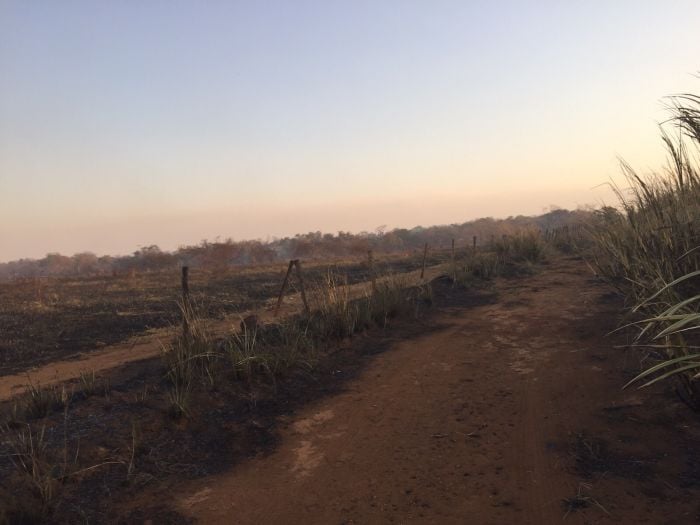 Imagem do dia - Incêndio nos canaviais na região de Porteirão (GO) e Santa Helena de Goiás (GO), na última sexta-feira (11). Enviado por Dario Esteves