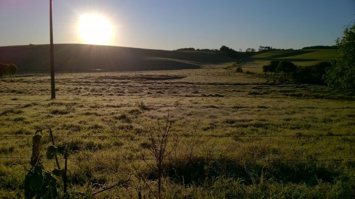 Imagem do dia - Geada em Bozano (RS), na Agropecuária Bonfada