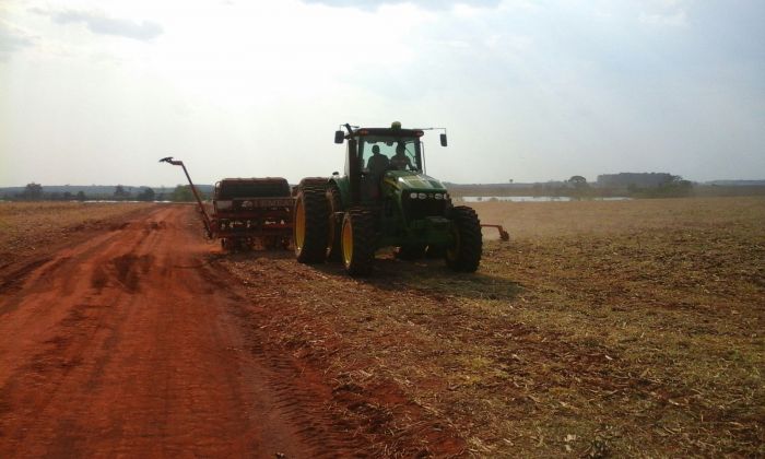 Imagem do dia - Plantio de soja em Laguna Carapã (MS), na Fazenda Akito, do produtor Rafael Tomonaga. Enviado por Antônio Rodrigues Neto