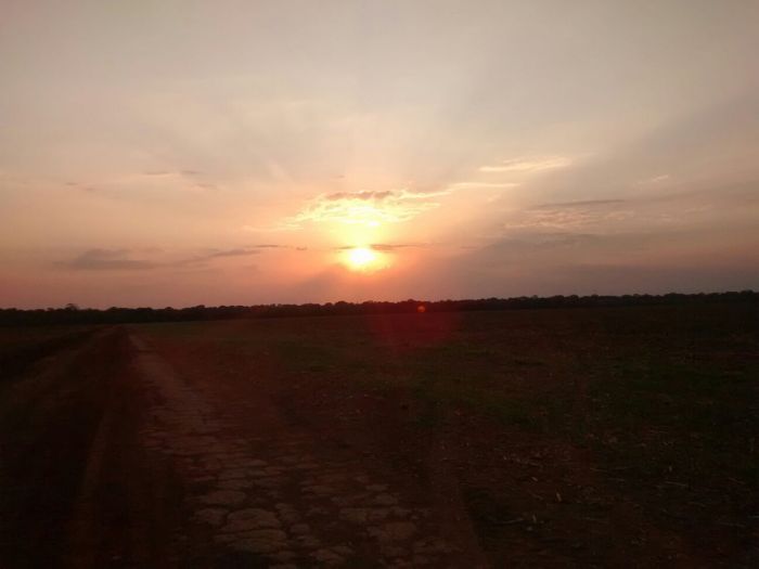 Imagem do dia - Fim de tarde em Nova Ubiratã (MT). Enviado por Jeferson André Bungenstab